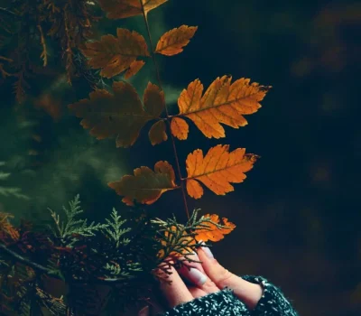 Naturopatia e prevenzione in autunno