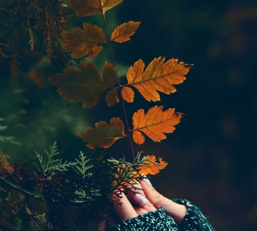Naturopatia e prevenzione in autunno