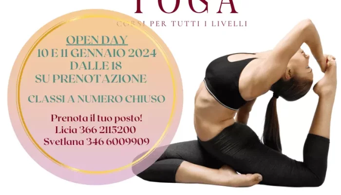 Hata Yoga Vinyasa Yoga Yoga Nidra rilassamento