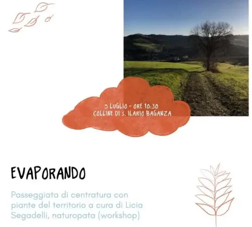 Evaporando. Workshop in Natura